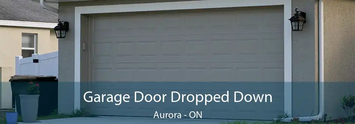 Garage Door Dropped Down Aurora - ON