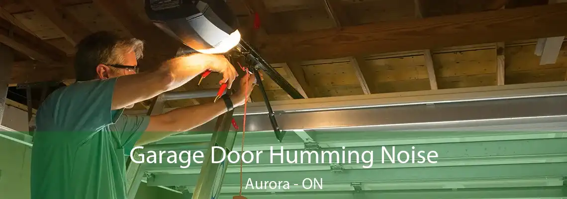 Garage Door Humming Noise Aurora - ON