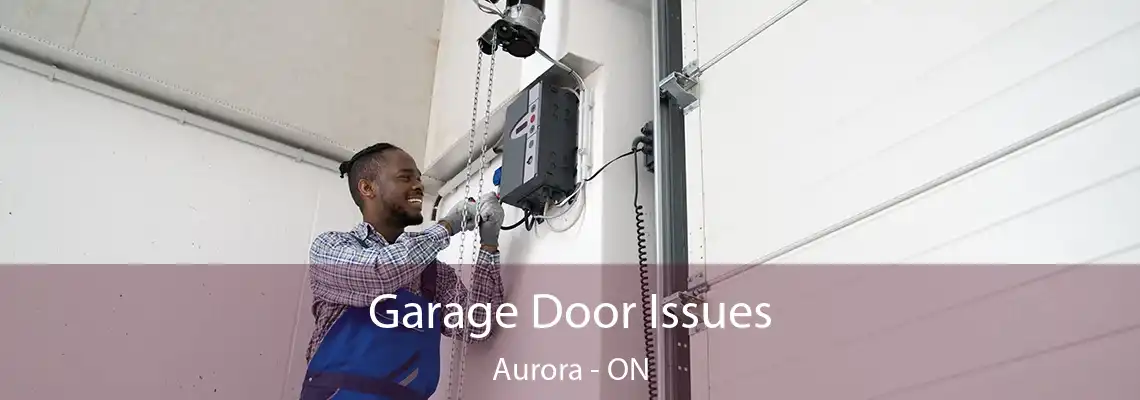 Garage Door Issues Aurora - ON