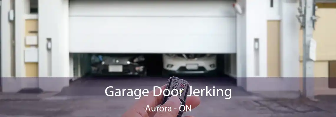 Garage Door Jerking Aurora - ON