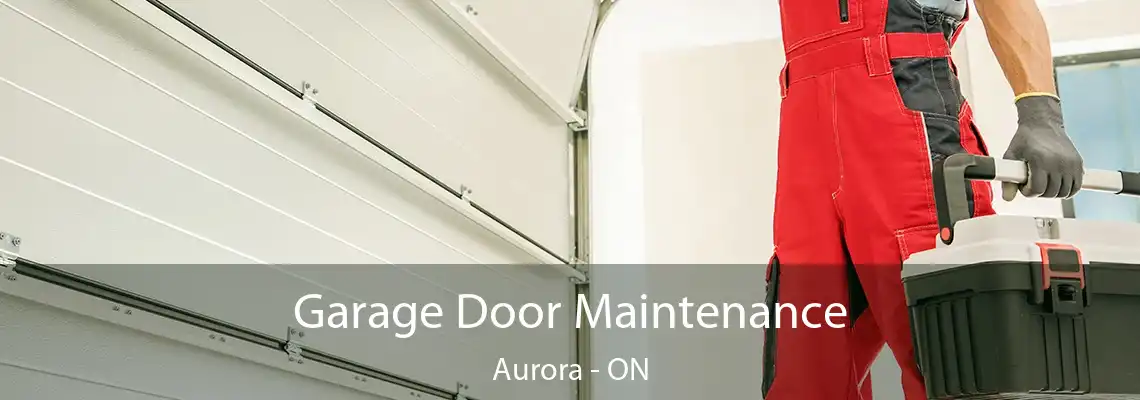 Garage Door Maintenance Aurora - ON