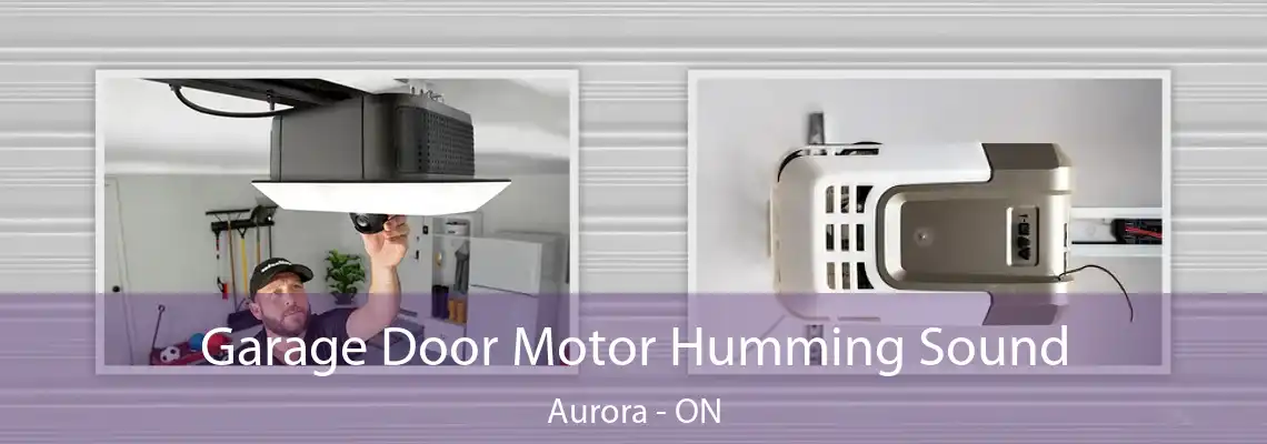 Garage Door Motor Humming Sound Aurora - ON