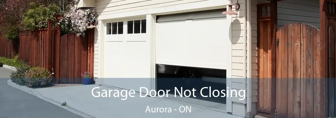 Garage Door Not Closing Aurora - ON