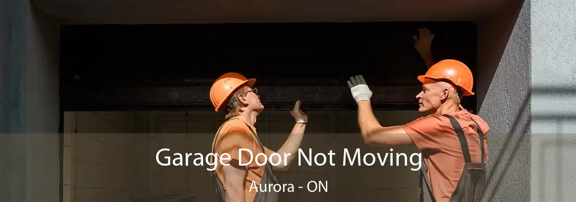 Garage Door Not Moving Aurora - ON