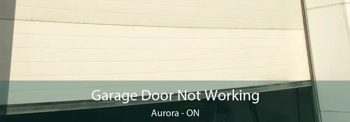 Garage Door Not Working Aurora - ON