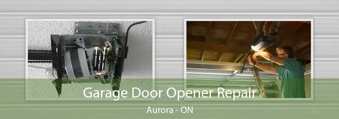 Garage Door Opener Repair Aurora - ON
