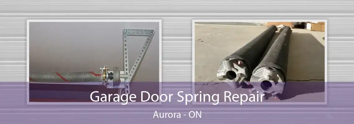 Garage Door Spring Repair Aurora - ON