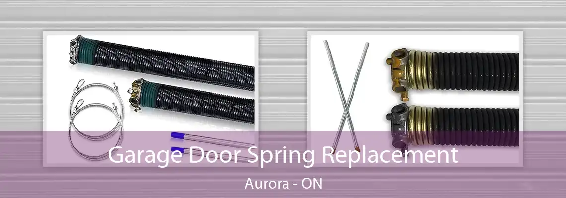 Garage Door Spring Replacement Aurora - ON