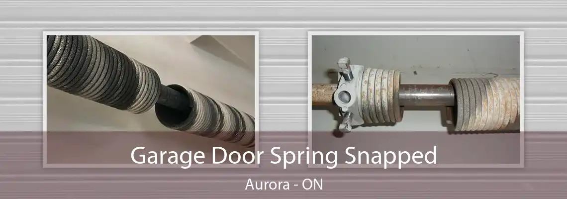 Garage Door Spring Snapped Aurora - ON