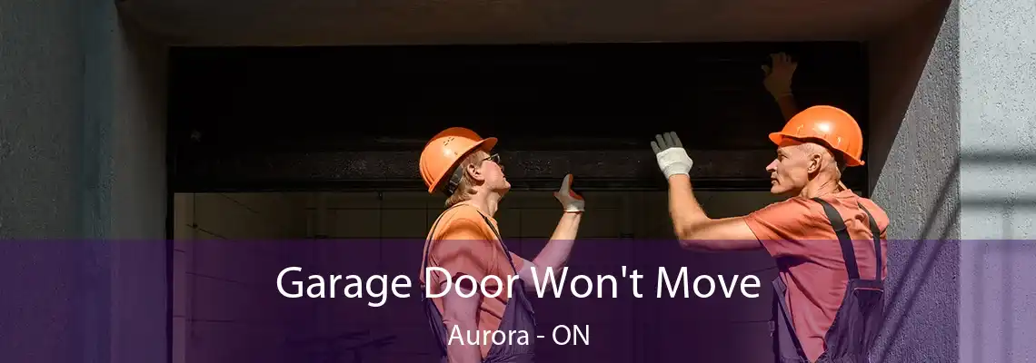 Garage Door Won't Move Aurora - ON