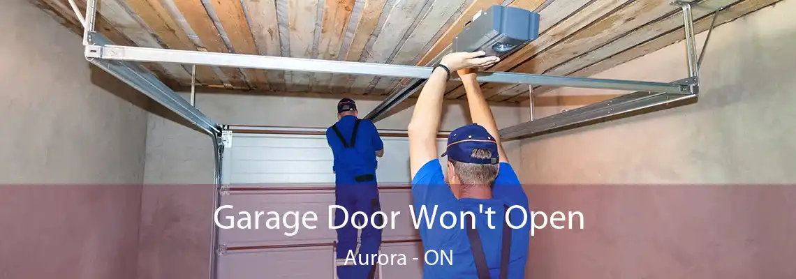 Garage Door Won't Open Aurora - ON