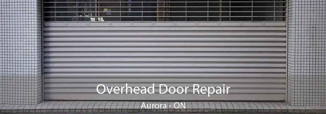 Overhead Door Repair Aurora - ON