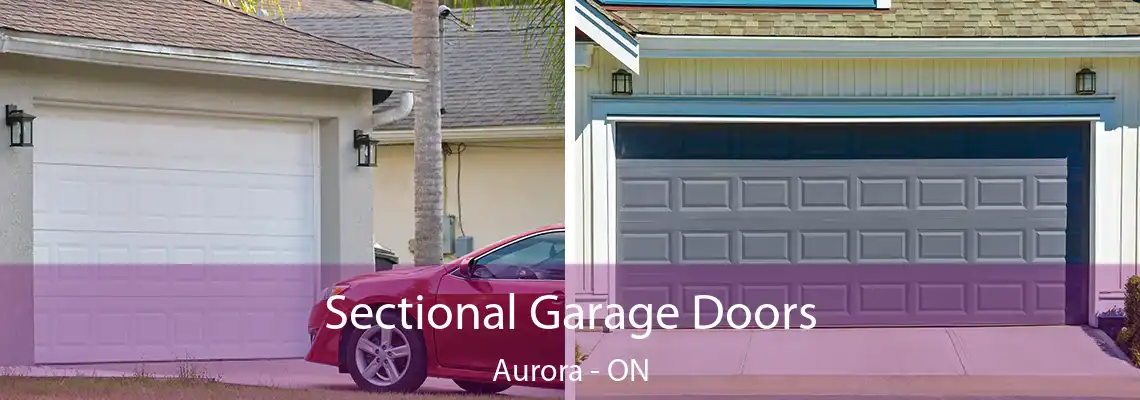 Sectional Garage Doors Aurora - ON